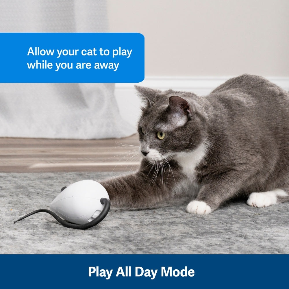 RoloRat Automatischer Katzen-Teaser