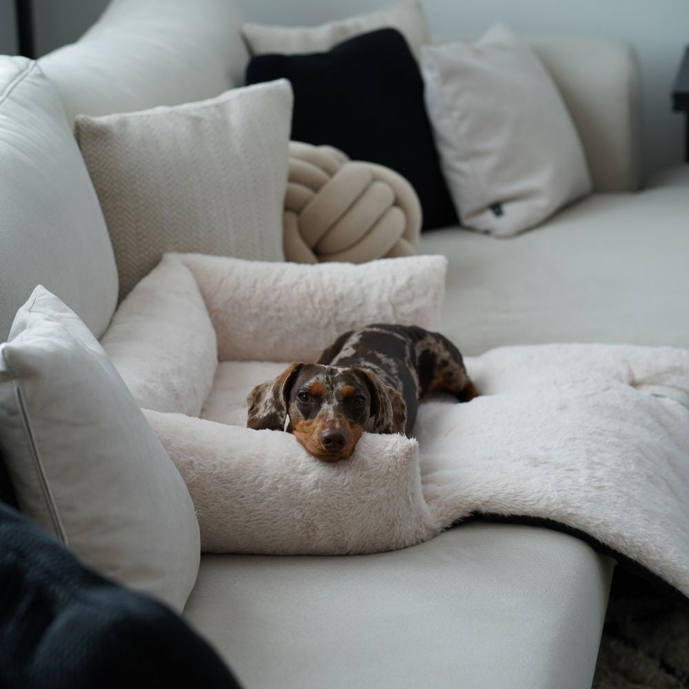 NUZZLE Sofa Bed hondenmand crumb foam M 75x75 cm