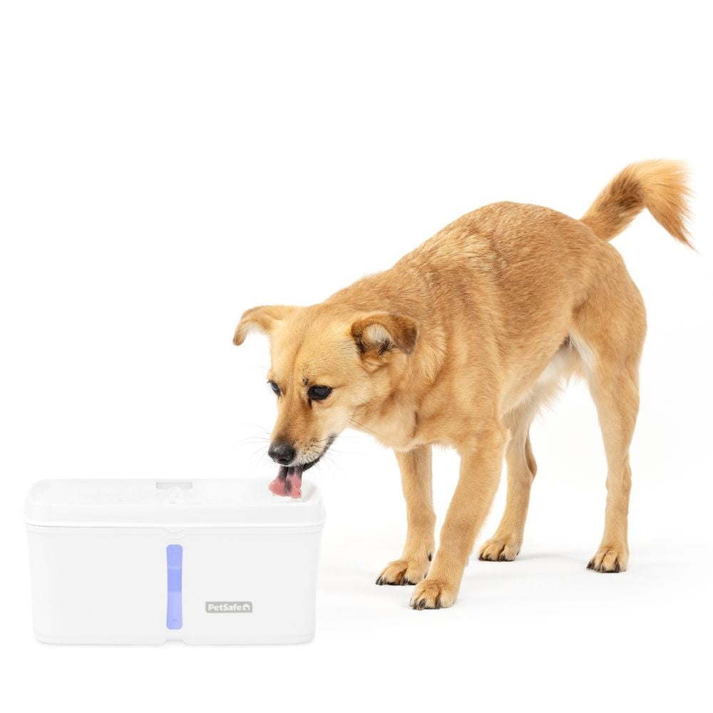 Viva Pet Fountain drinkfontein 4,1 L