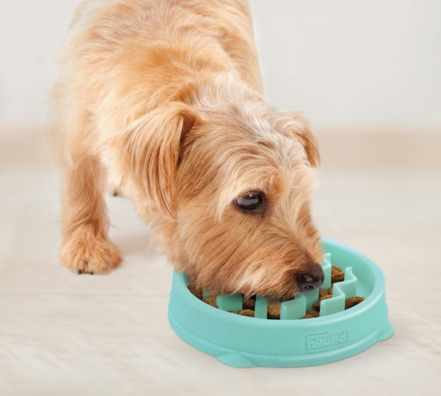 Fun Feeder Mint XS – Mint / 3/4 cup – 175 ml