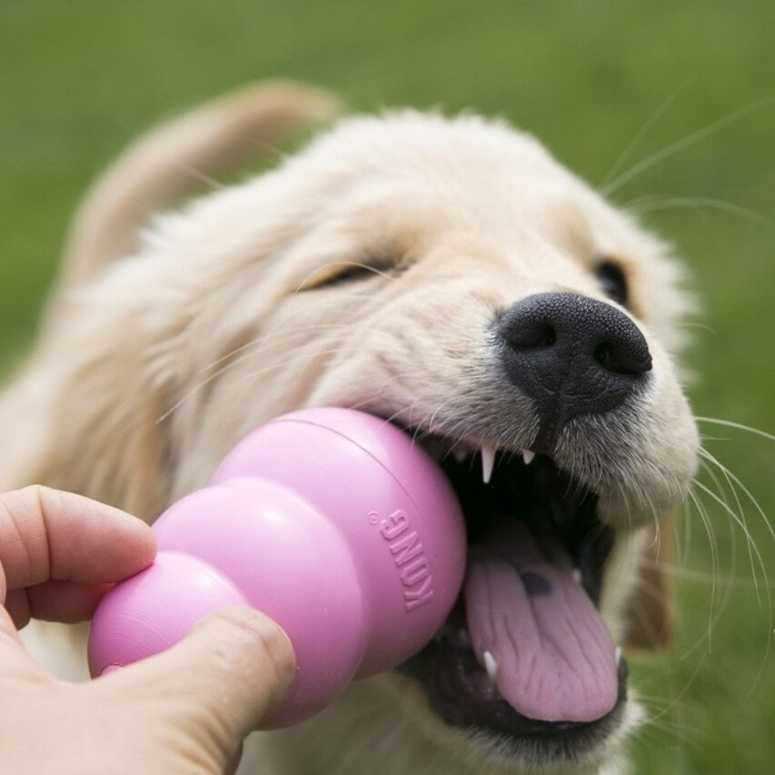 Puppy Kong - Medium