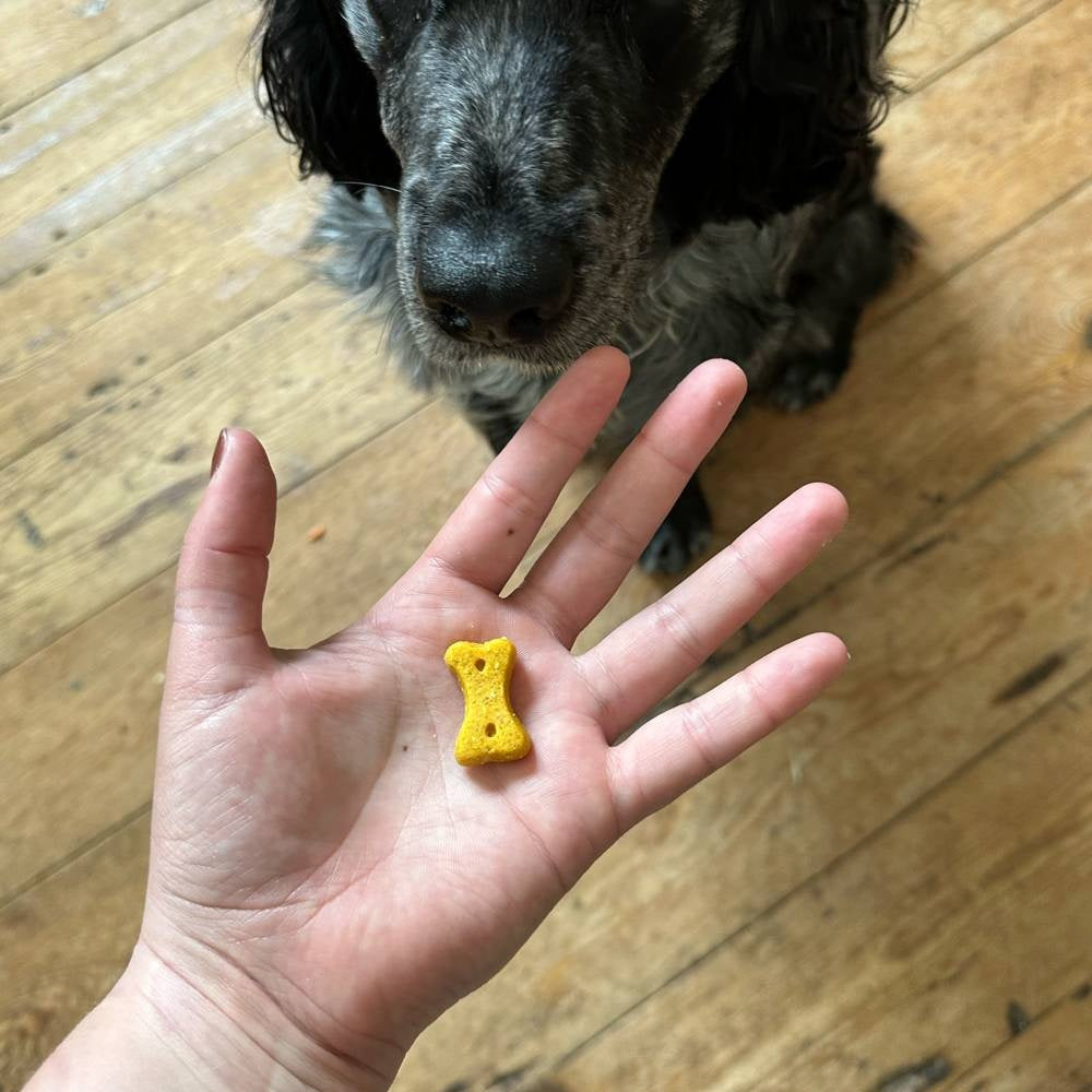 Peanut Treats - 10 x 70g