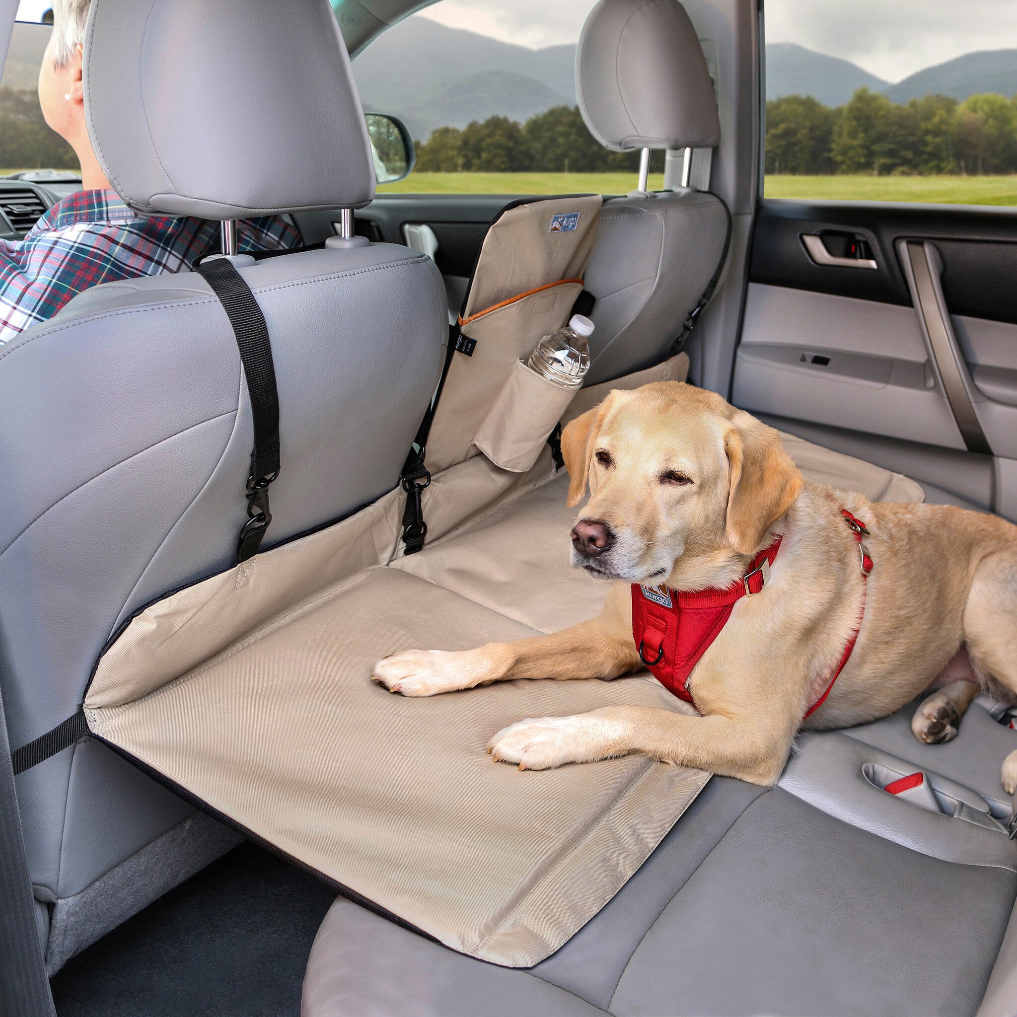 Rover Backseat Bridge