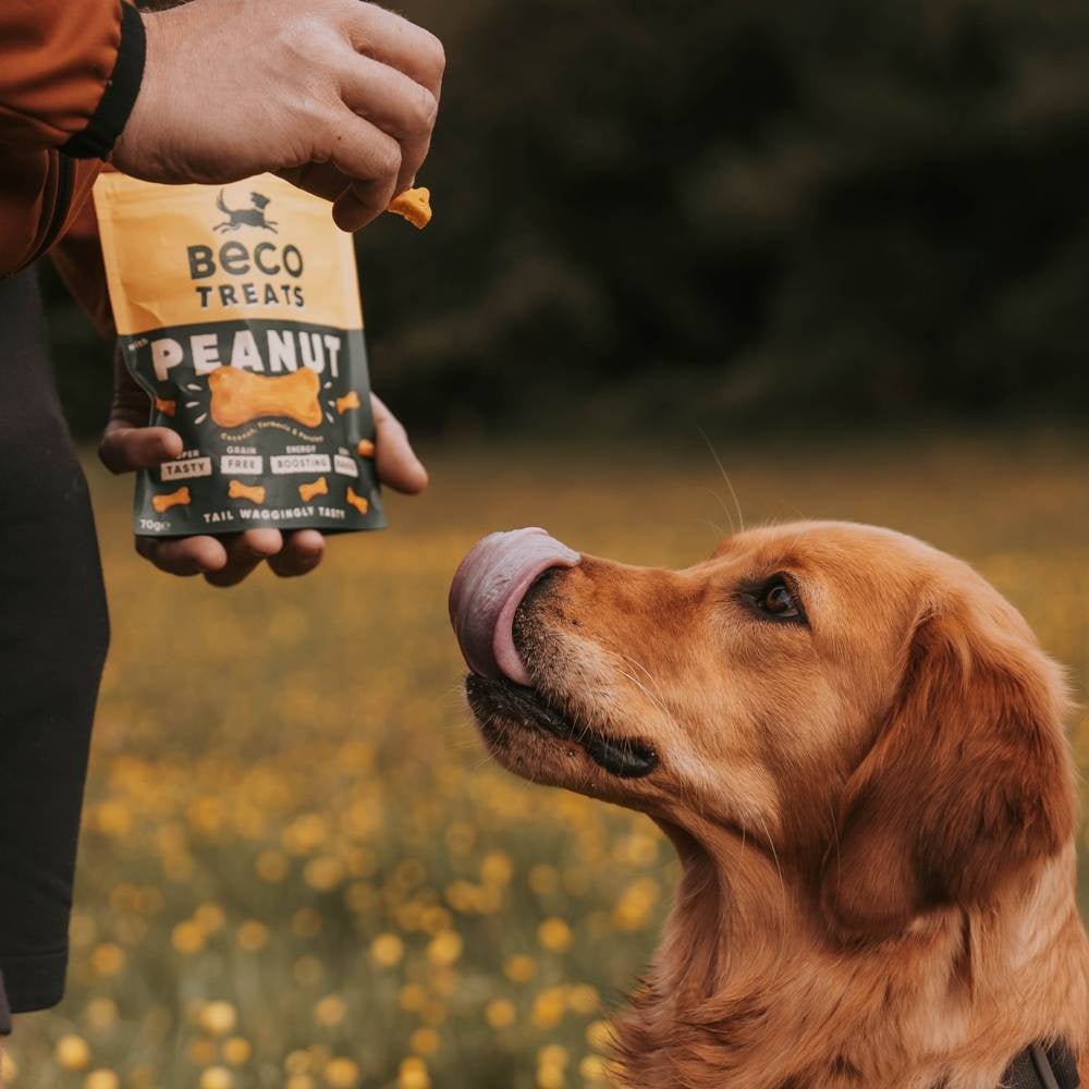 Peanut Treats - 10 x 70g