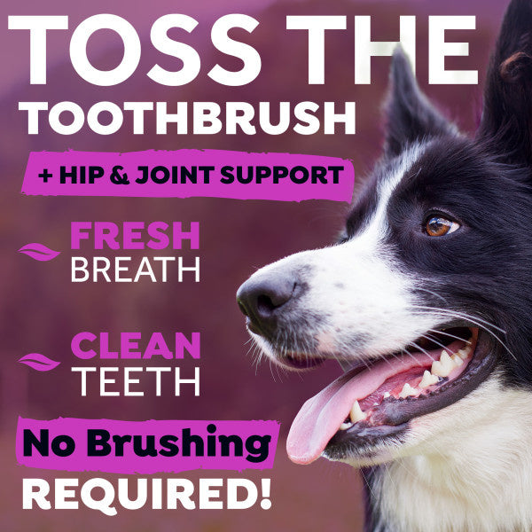 TropiClean Fresh Breath water additief Plus Hip & Joint hond