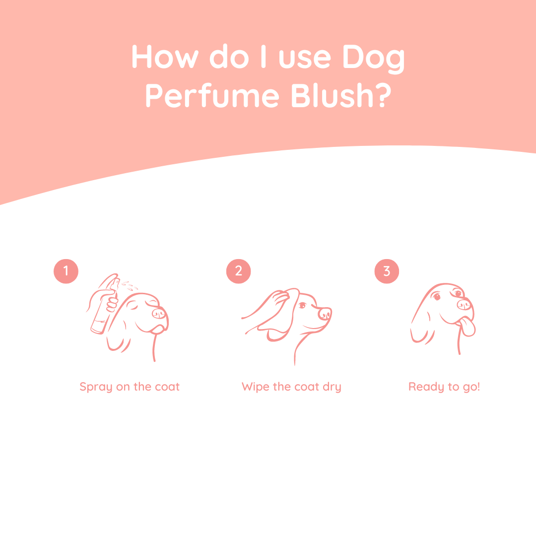 Hundeparfum Blush 100 ml