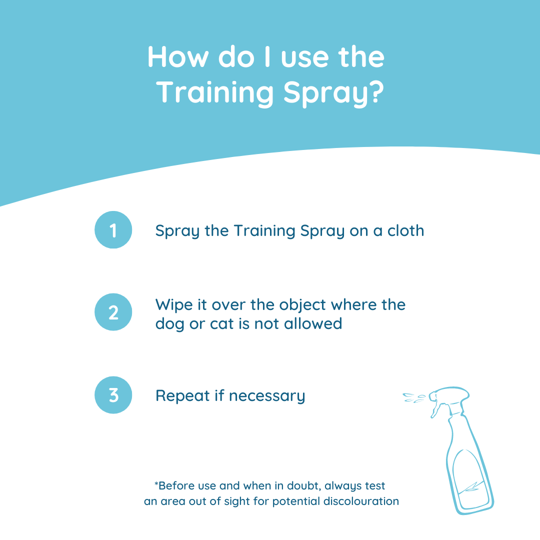 Training‑Spray 400 ml