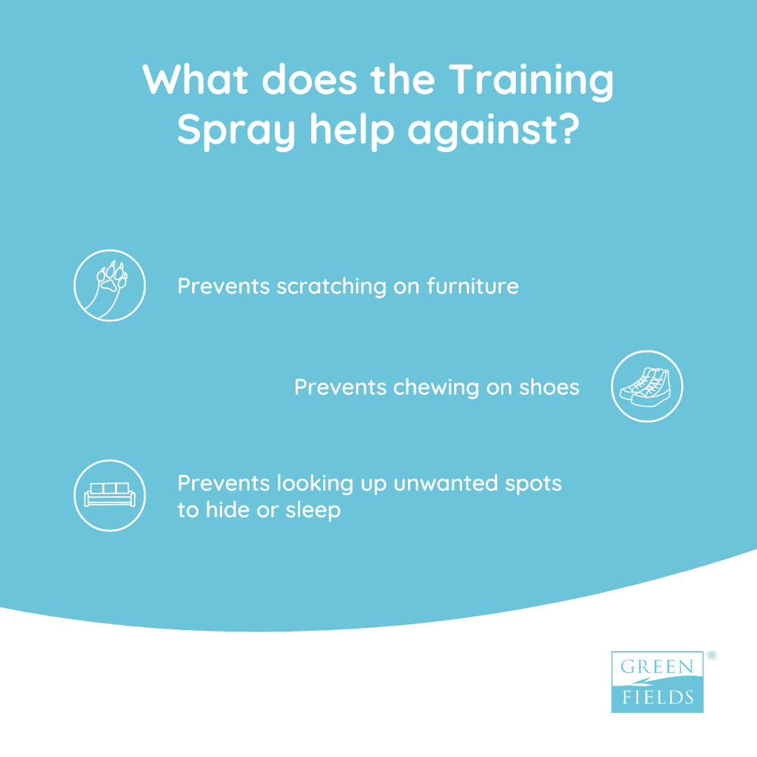 Training‑Spray 400 ml