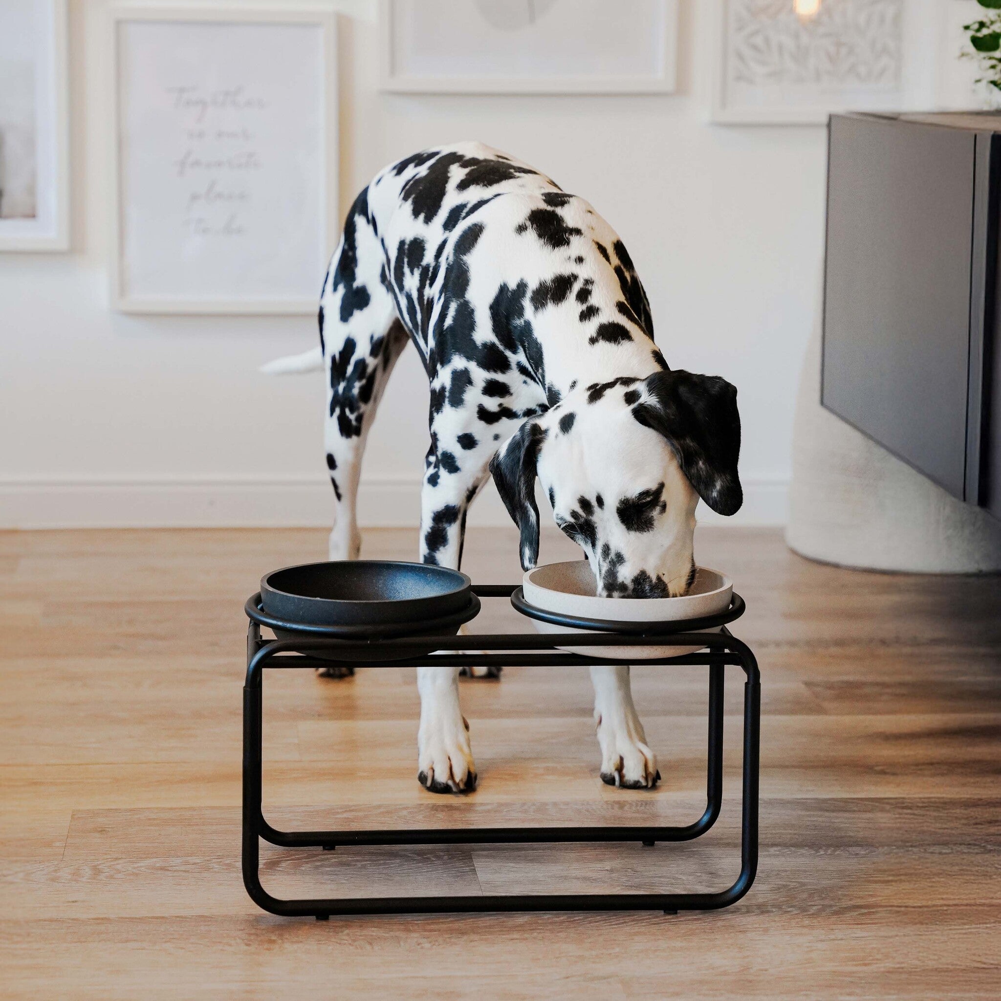 BUTLER Futternapfständer für Hunde - Beige / M