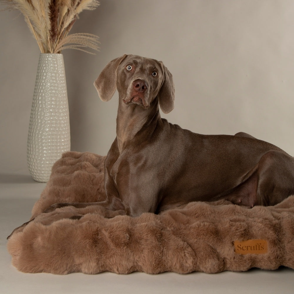 Alpine-Matratze - Taupe / XL - 120 x 75 x 14 cm