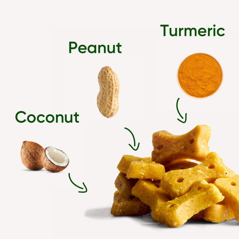 Peanut Treats - 10 x 70g