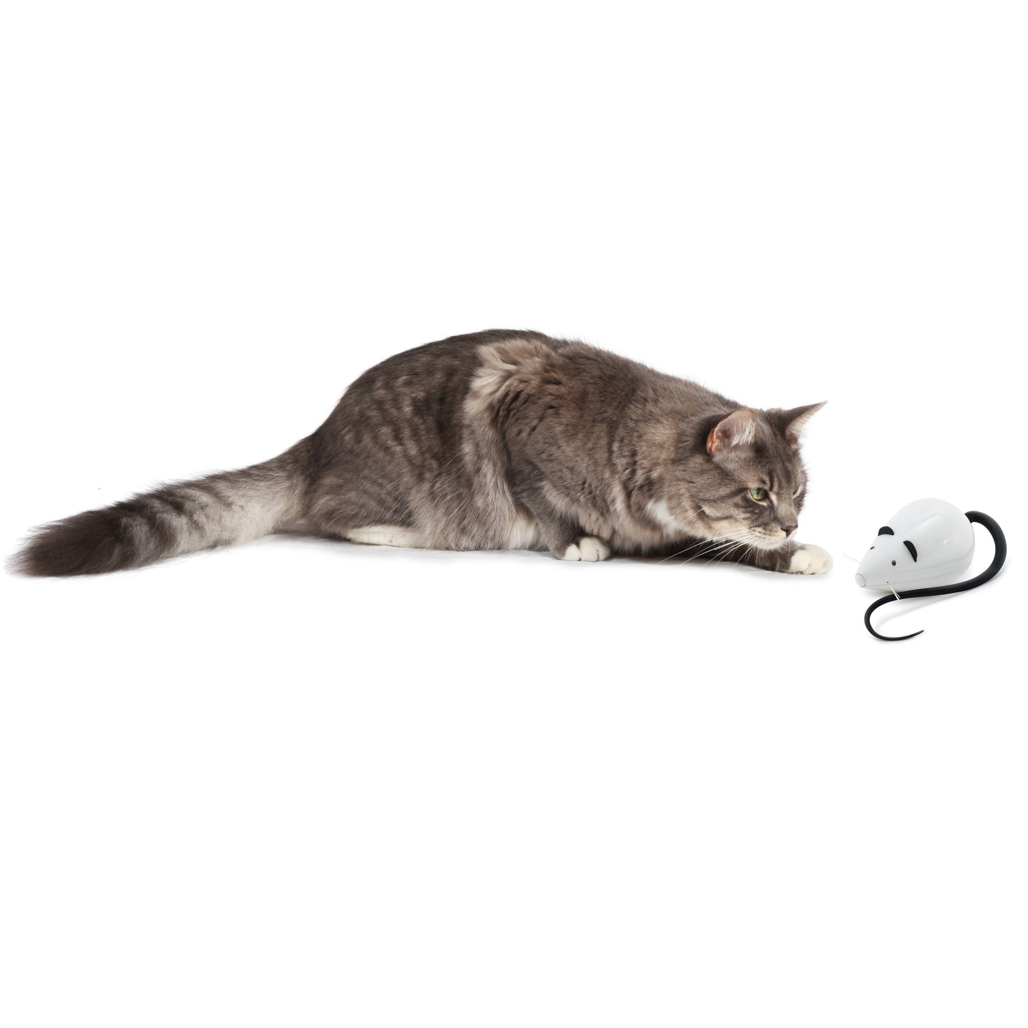 RoloRat Automatischer Katzen-Teaser