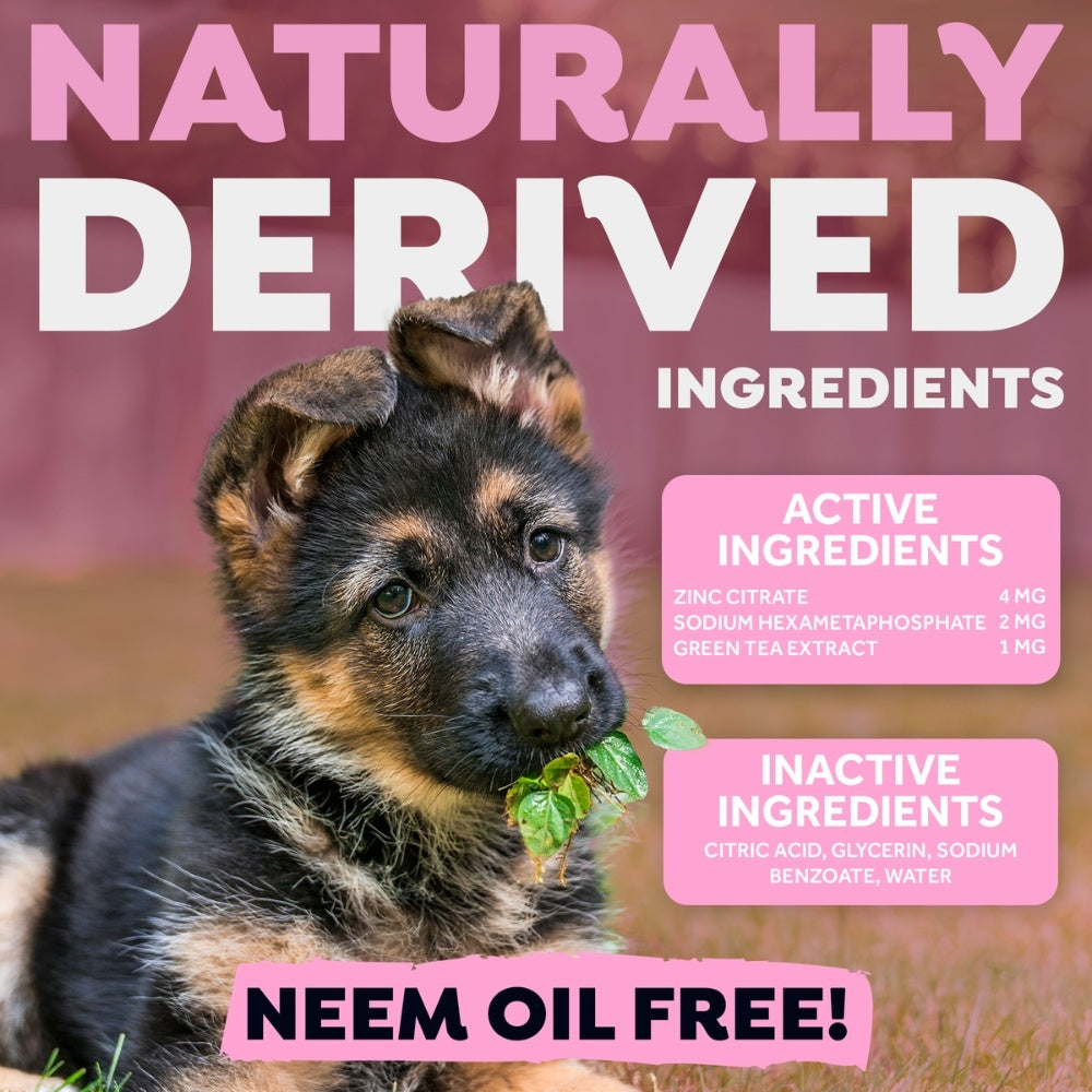 TropiClean Fresh Breath hond verzorgingsproduct smaakloos {{package_size_display}}