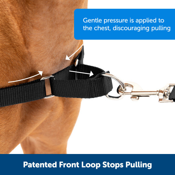 Easy Walk® Harness - Schwarz / Extra-Large - 86-117 cm
