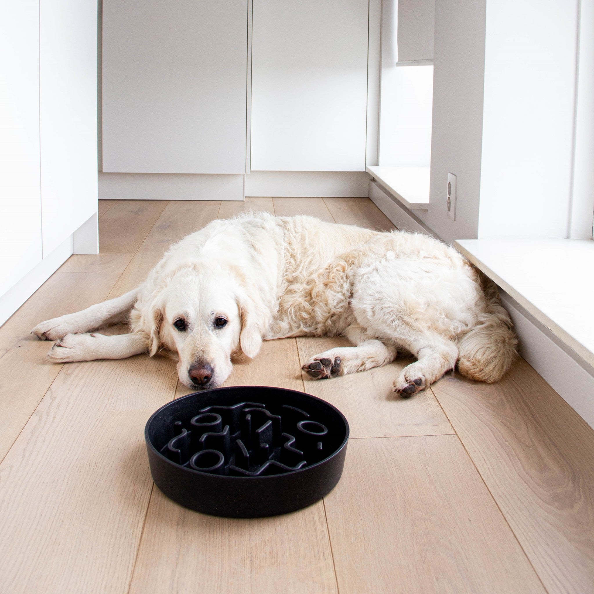 BAMBOO Slow Feeder für Hunde - Ice Blue / Ø17 cm (520ml)