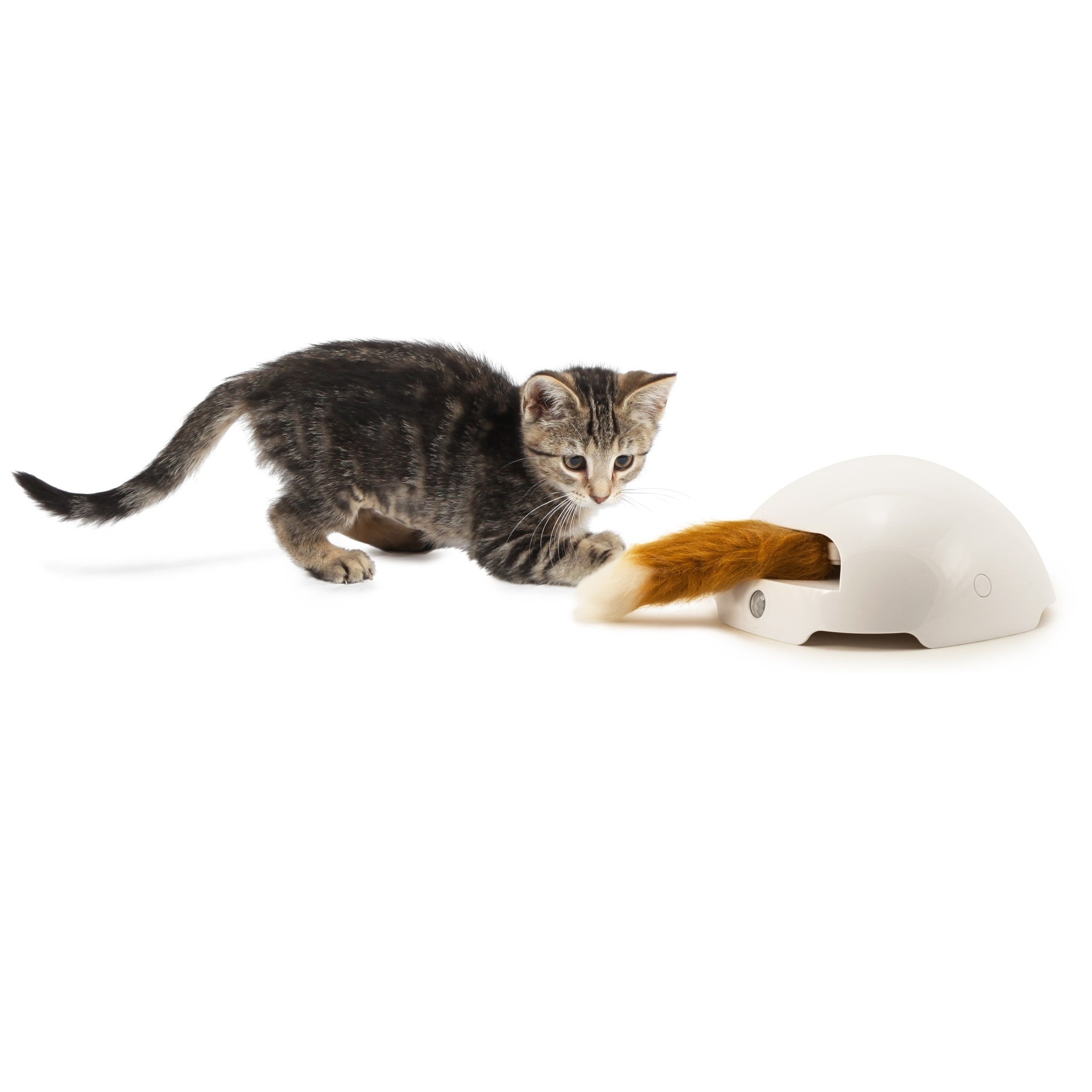 Fox Den Toy – Automatischer Katzen-Teaser
