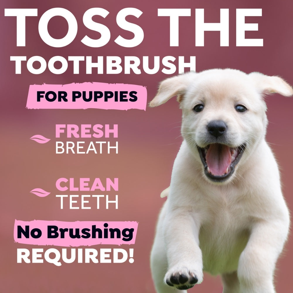 TropiClean Fresh Breath hond verzorgingsproduct smaakloos {{package_size_display}}