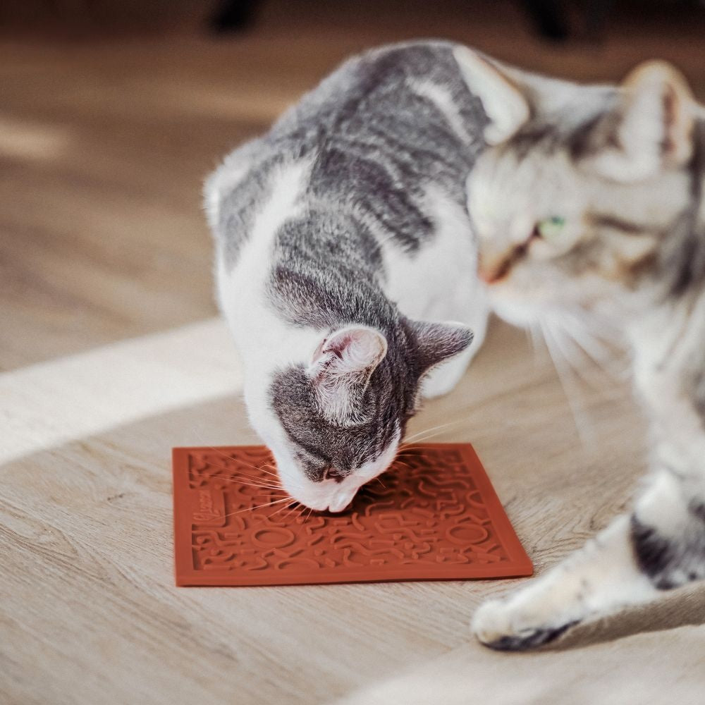 QUEST Leckmatte für Katzen - Dunkelgrau