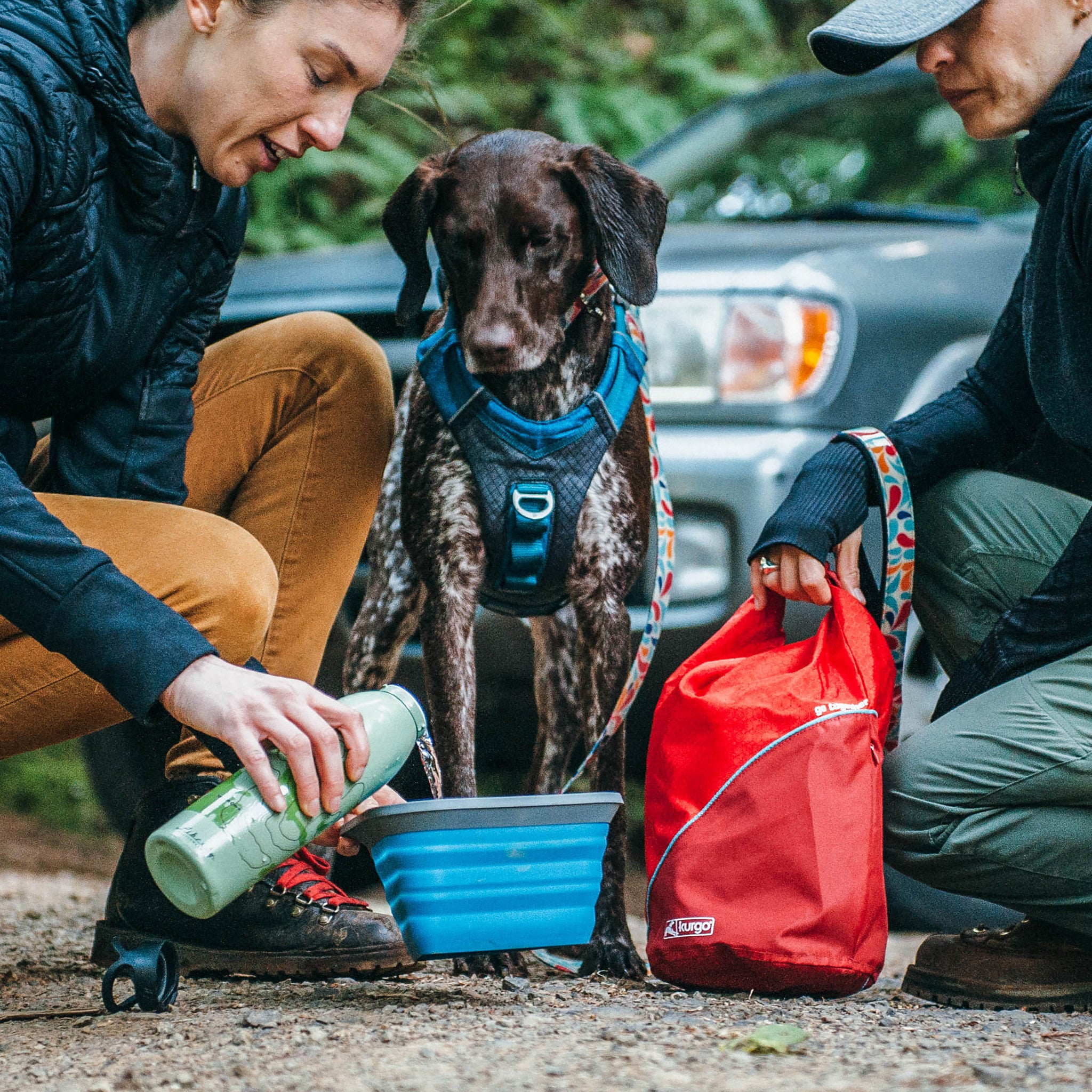 Kibble Carrier - Coastal Blauw