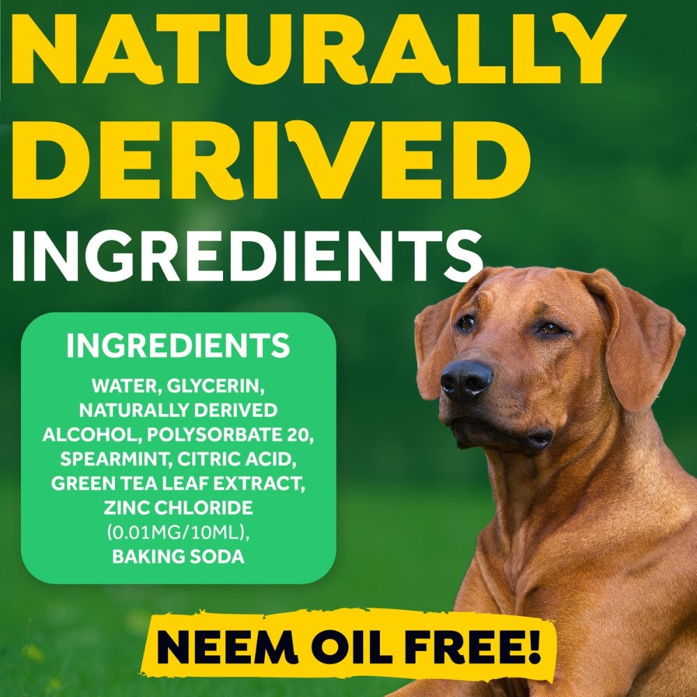TropiClean Fresh Breath Oral Care Foam hond verzorgingsproduct {{package_size_display}}
