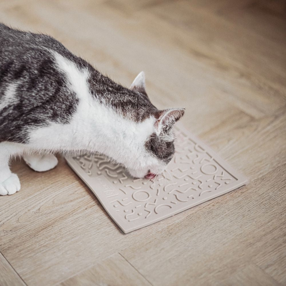 QUEST Leckmatte für Katzen - Dunkelgrau