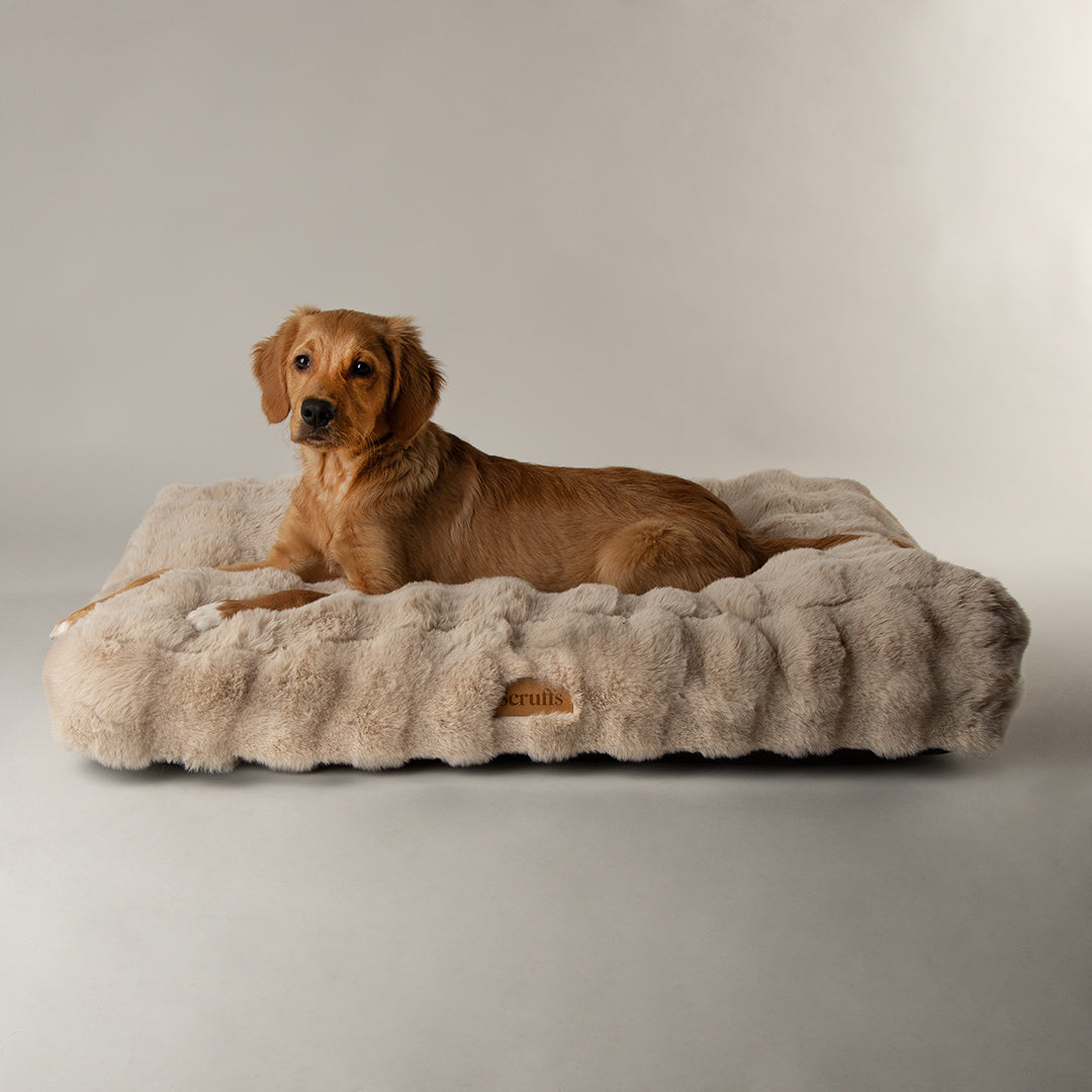 Alpine-Matratze - Taupe / XL - 120 x 75 x 14 cm