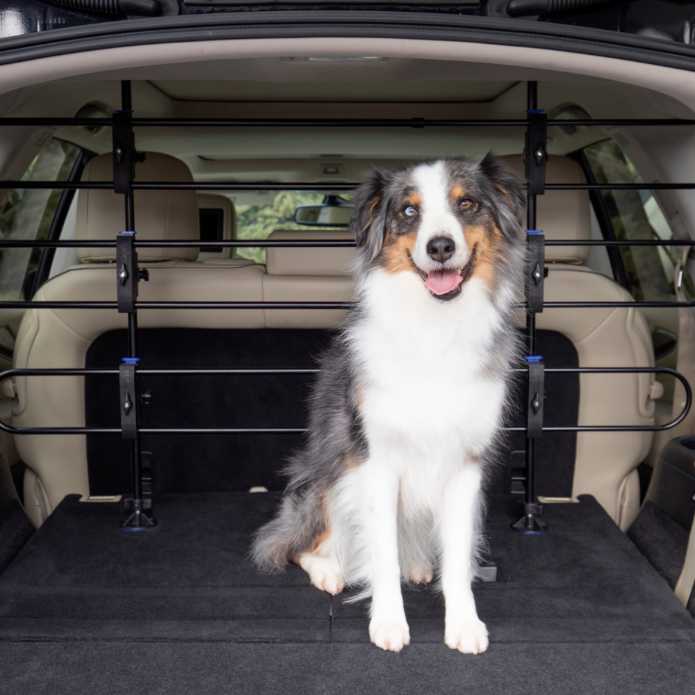 Happy Ride Metal Hundegitter