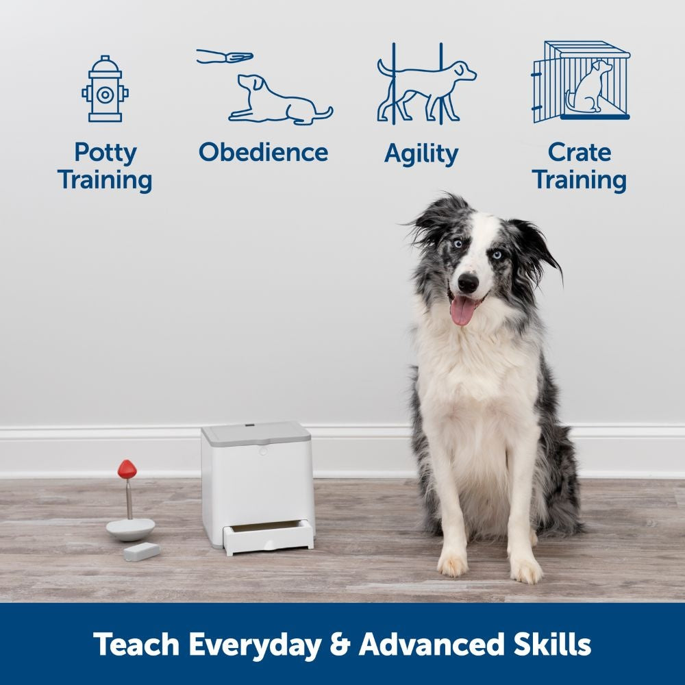 Teach & Treat Remote Reward Trainer