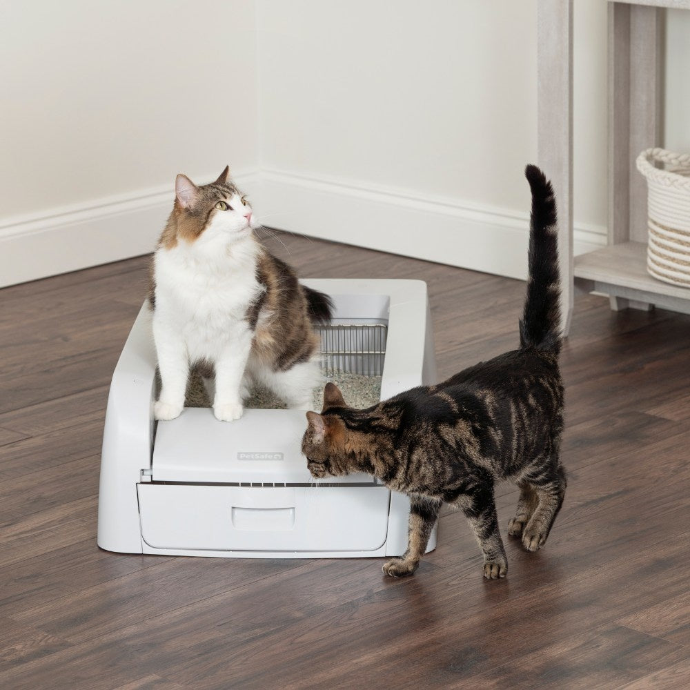ScoopFree™ Clumping Selbstreinigende Katzentoilette