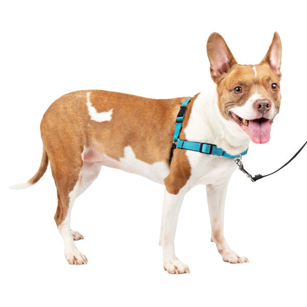 Easy Walk Deluxe Geschirr - Small - 38-51 cm