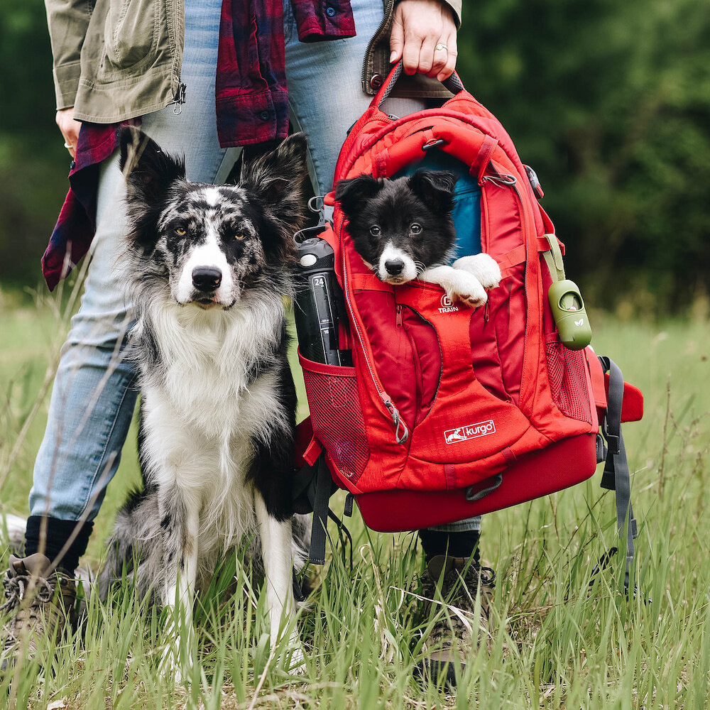 G-Train Dog Carrier Rucksack – Schwarz