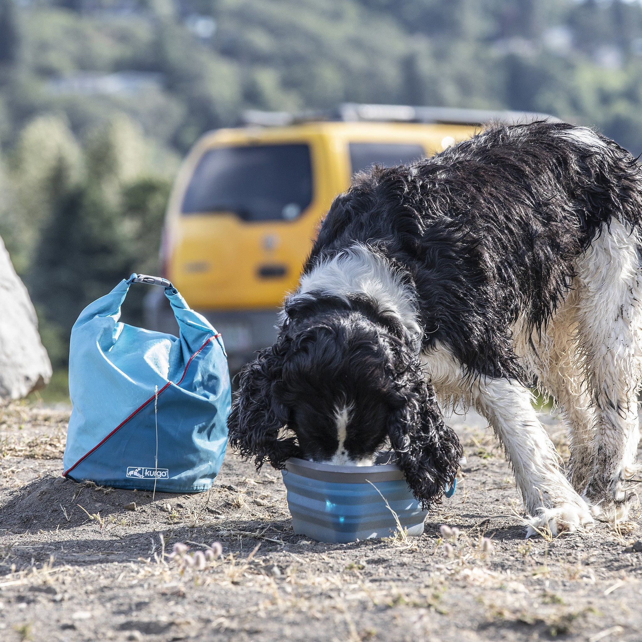 Kibble Carrier - Coastal Blauw