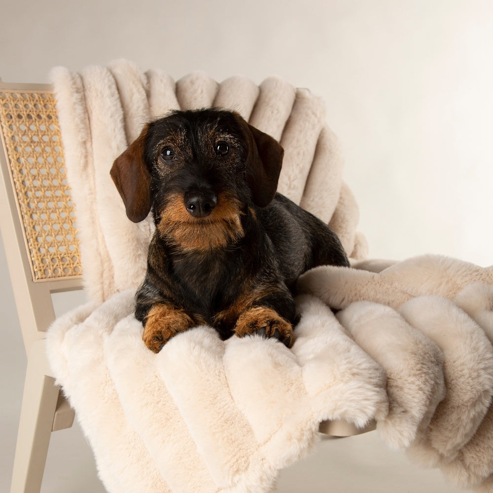 Scruffs Aspen huisdierendeken
