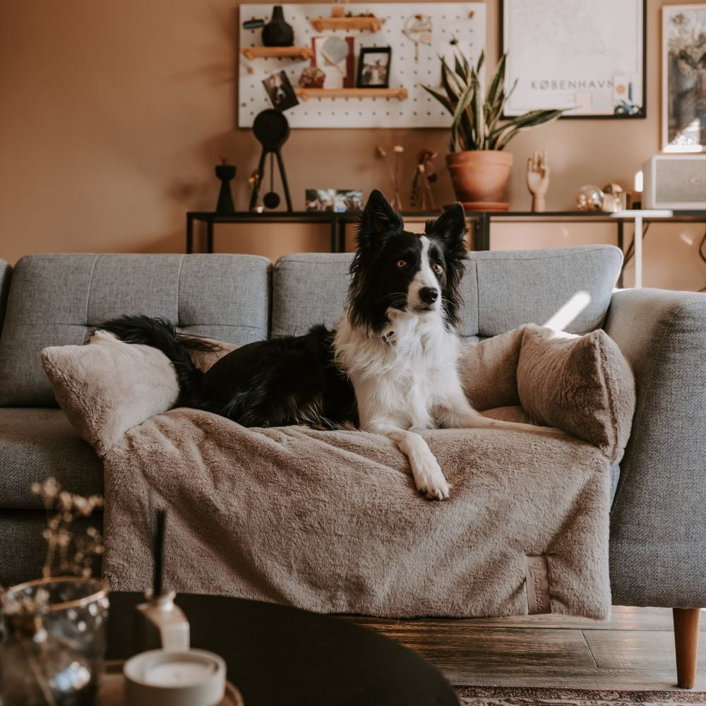 District 70 NUZZLE Sofa Bed