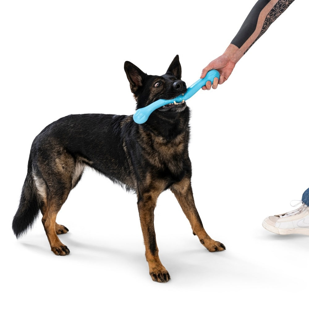 West Paw Zogoflex Echo Zwig apporteerspeelgoed Zogoflex drijvend 35 cm