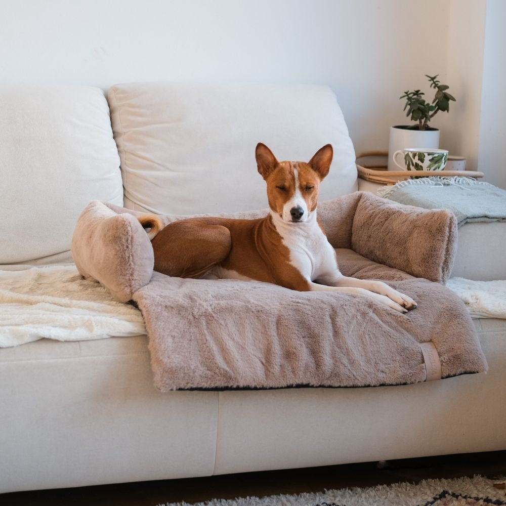 NUZZLE Sofa Bed hondenbed crumb foam Small 65x75 cm