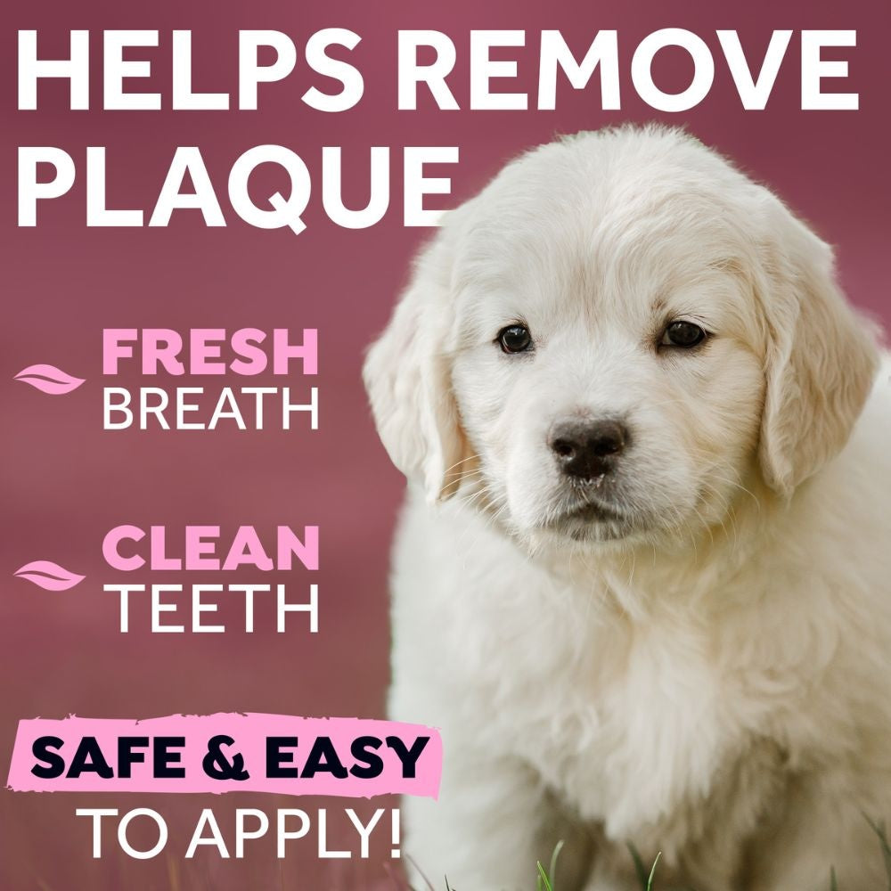 TropiClean Fresh Breath Puppy tandpasta mint gel {{package_size_display}}