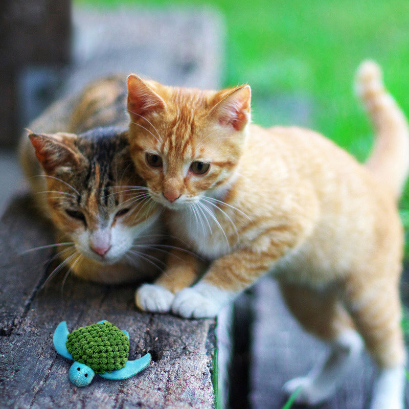 KONG Catnip Refillables Schildpad catnip-speelgoed hervulbaar polyester