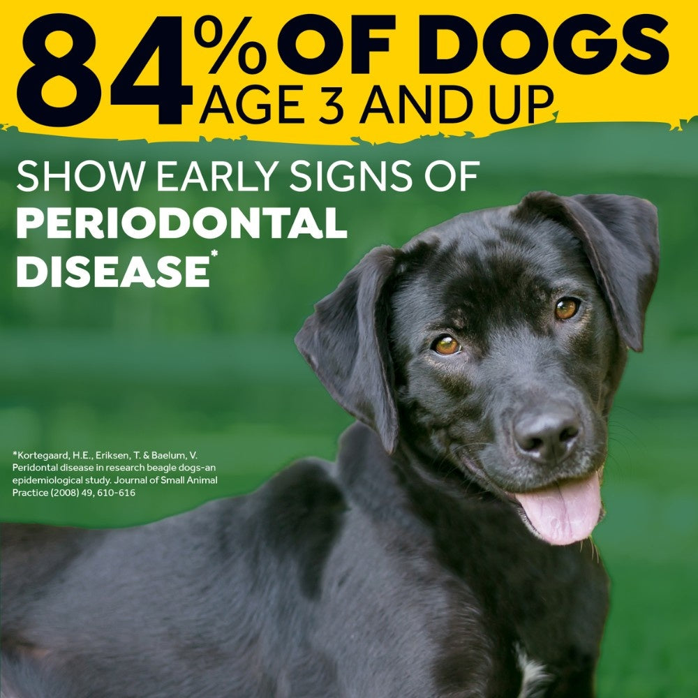 TropiClean Fresh Breath Oral Care Foam hond verzorgingsproduct {{package_size_display}}