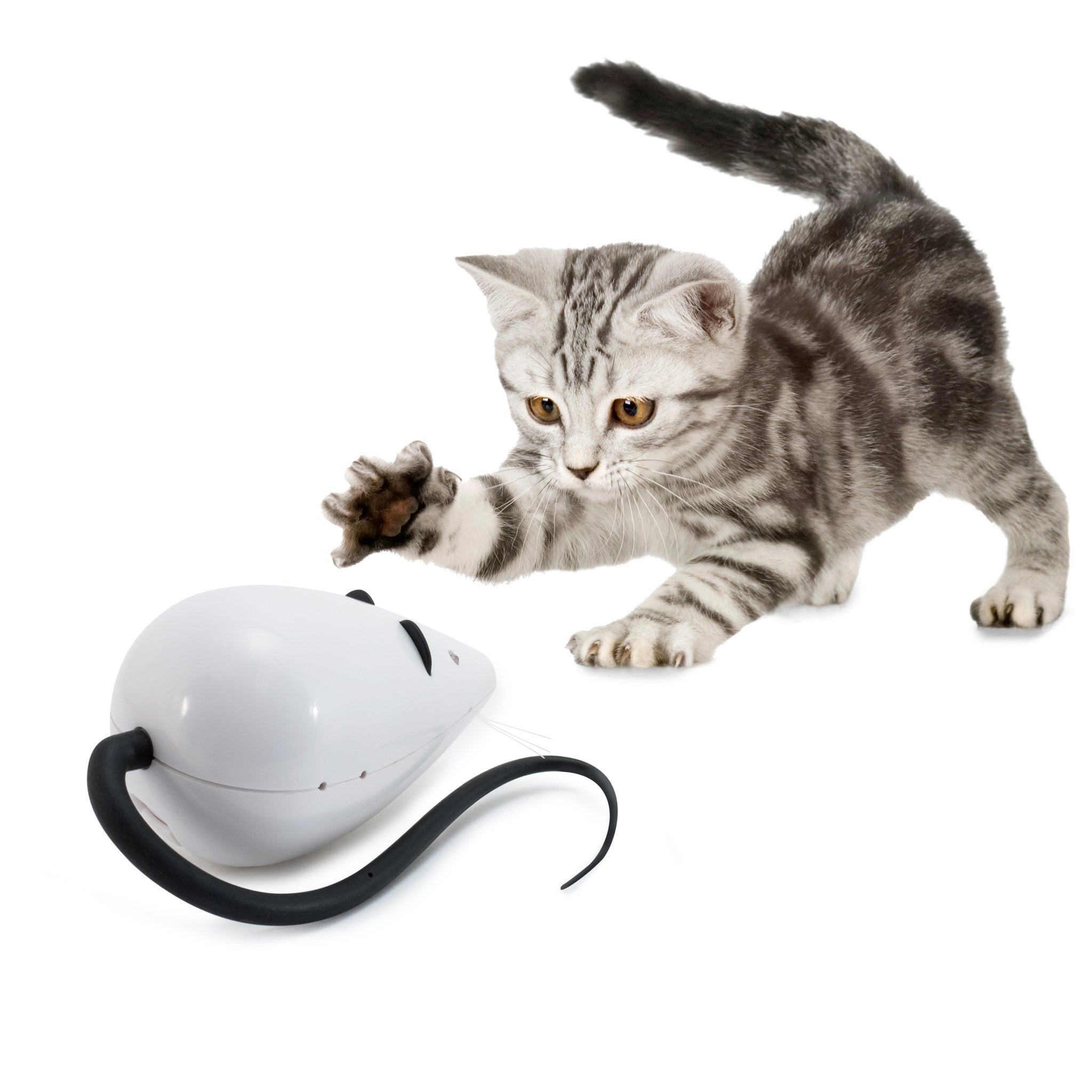RoloRat Automatischer Katzen-Teaser