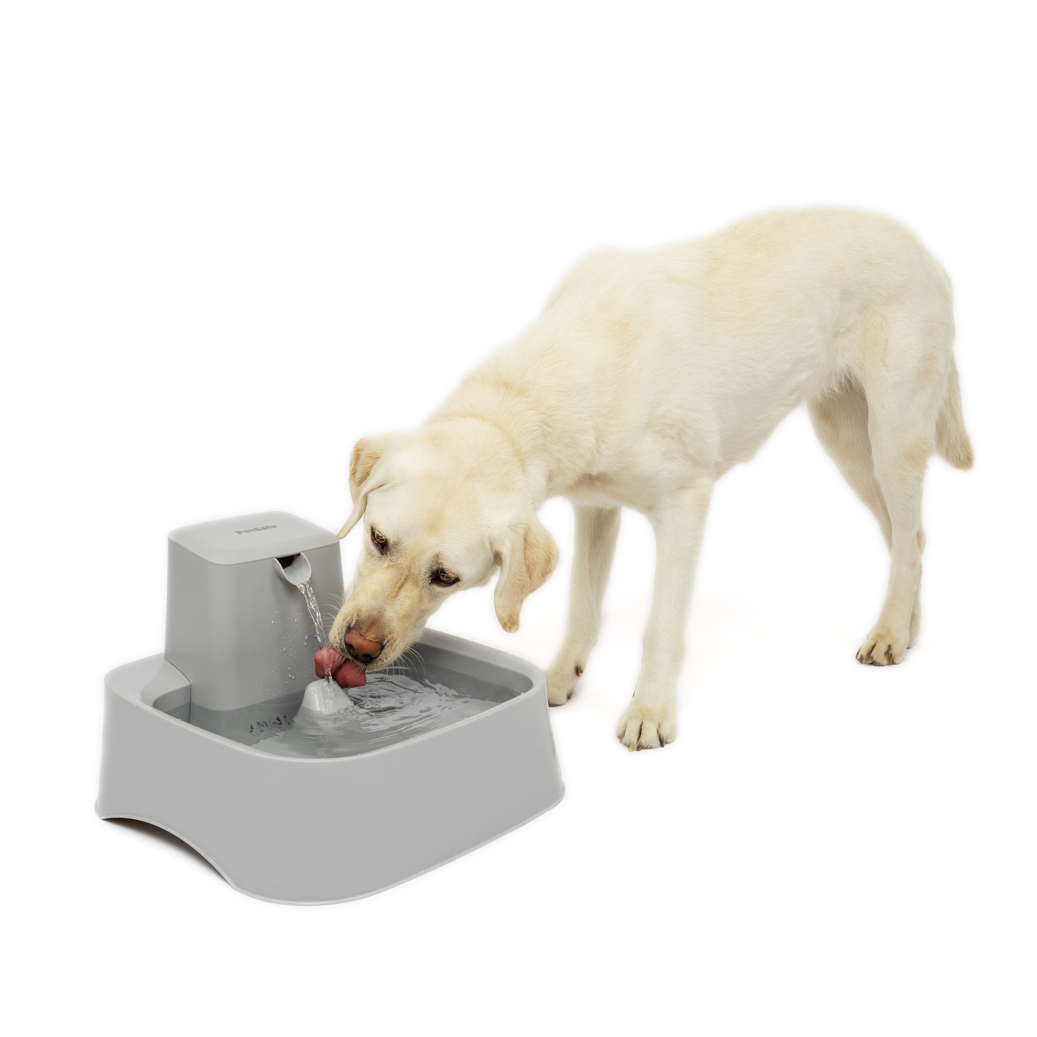 PetSafe Drinkwell Trinkbrunnen 7,5 L