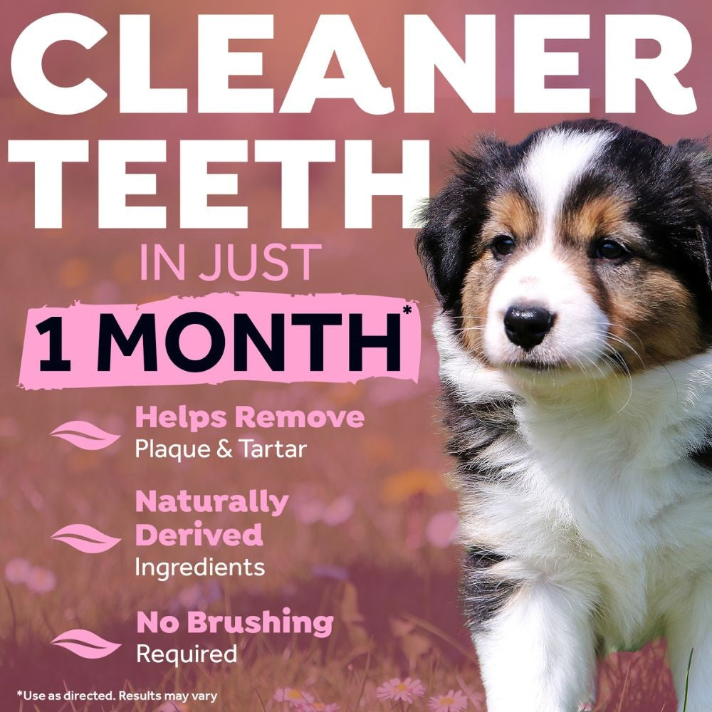 TropiClean Fresh Breath Puppy tandpasta mint gel {{package_size_display}}
