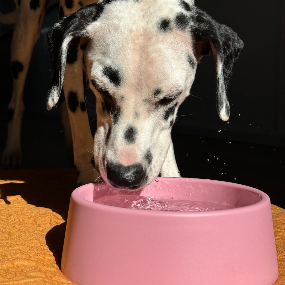 Beco Steady Dog Bowl - Blau / Large - 1200 ml