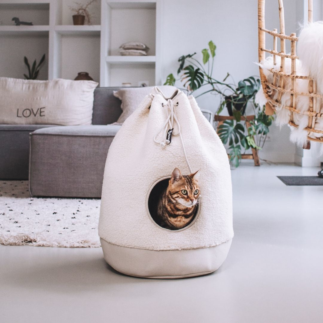 CASA Teddy - Mocca
