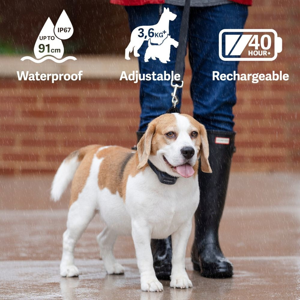Audible Bark Collar