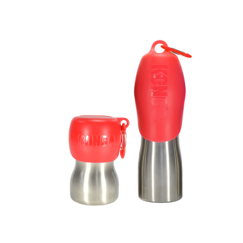 H2O Stainless Steel Water Bottle - Grün / Large - 740 ml