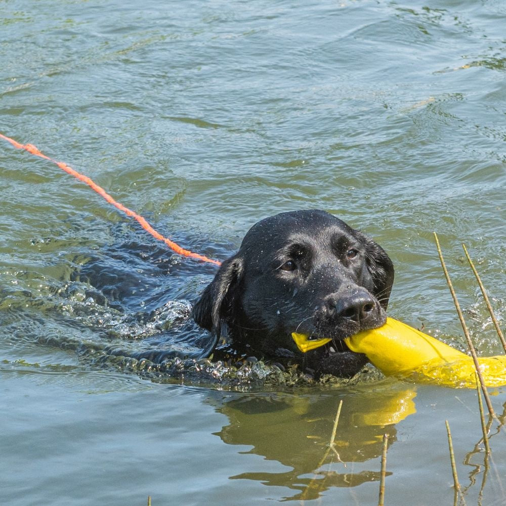Schwimmleine
