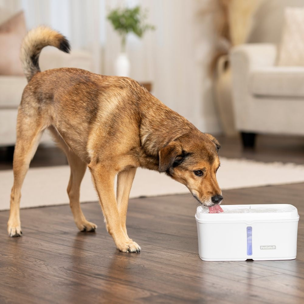 Viva Pet Fountain drinkfontein 4,1 L