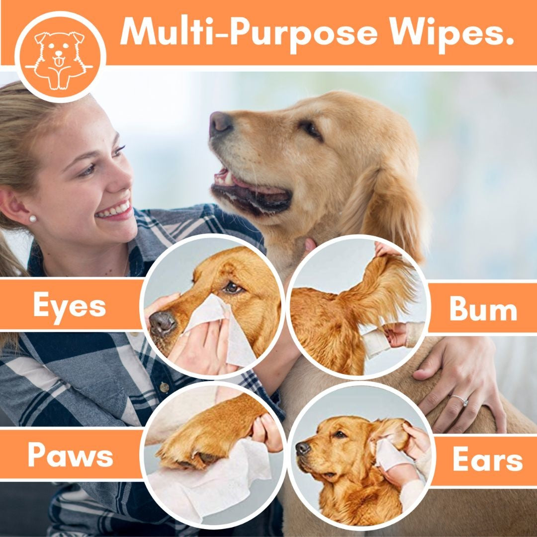 Grooming‑Wischtücher für Hunde