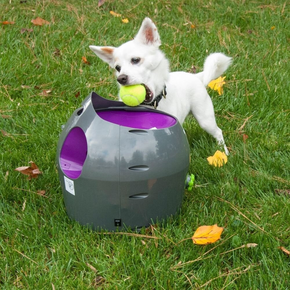 Automatischer Ballwerfer